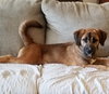 Dr Litter Anastasia - ADOPTED 04.25.17