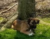 Dr Litter Anastasia - ADOPTED 04.25.17