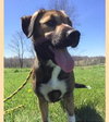 Dr Litter Mable - ADOPTED 05.25.17