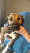 Dr Litter Mable - ADOPTED 05.25.17
