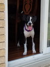 Merida - ADOPTED 08.06.17
