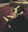Merida - ADOPTED 08.06.17