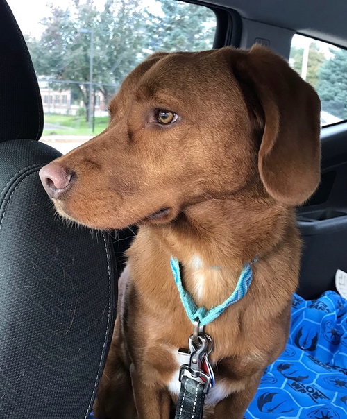 Stetson - ADOPTED 12.08.18