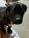 Ir Litter Malcolm - ADOPTED 07.31.17