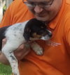 Mr Litter Iris - ADOPTED 09.04.17