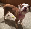 Vonn -  ADOPTED 09.13.17