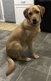 Remi (FP) - ADOPTED 01.21.18