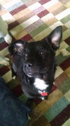 Wrigley - ADOPTED 07.01.18