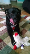 Wrigley - ADOPTED 07.01.18