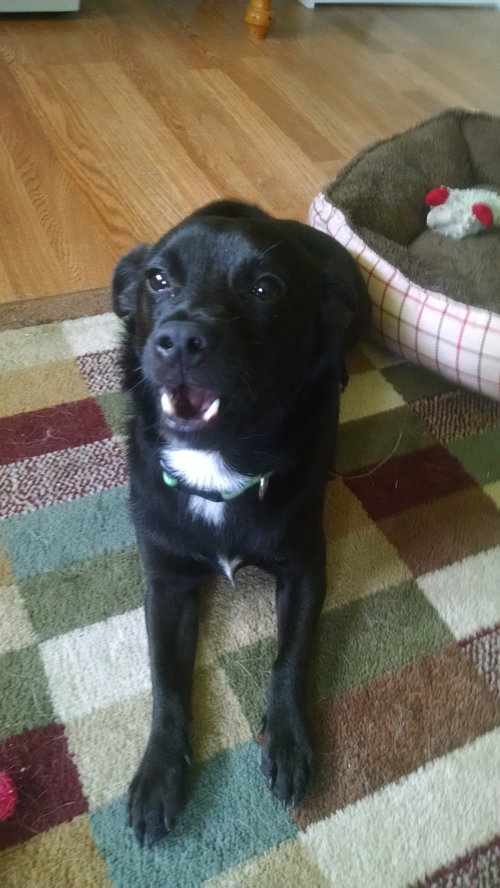 Wrigley - ADOPTED 07.01.18