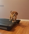 Pr Litter Compass - ADOPTED 12.23.17