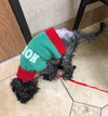 Miracle - ADOPTED 02.11.18