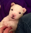 Qr Litter Usher - ADOPTED 03.14.18