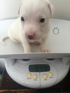 Qr Litter Usher - ADOPTED 03.14.18