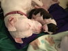 Qr Litter Notorious - ADOPTED 03.08.14