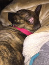 Theia - ADOPTED 03.07.18