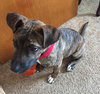 Theia - ADOPTED 03.07.18