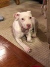 Sr Litter - Lillypad - ADOPTED 03.04.18