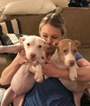 Sr Litter - Lillypad - ADOPTED 03.04.18