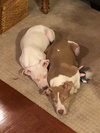 Sr Litter - Lillypad - ADOPTED 03.04.18