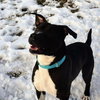 Quentin - ADOPTED 06.09.19