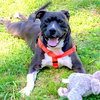 Quentin - ADOPTED 06.09.19