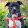 Quentin - ADOPTED 06.09.19