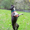 Quentin - ADOPTED 06.09.19