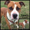 Perseus - ADOPTED 01.05.20