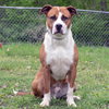 Perseus - ADOPTED 01.05.20