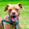 Starlord - ADOPTED 09.02.18