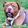 Stryker - ADOPTED 08.18.19