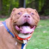 Stryker - ADOPTED 08.18.19