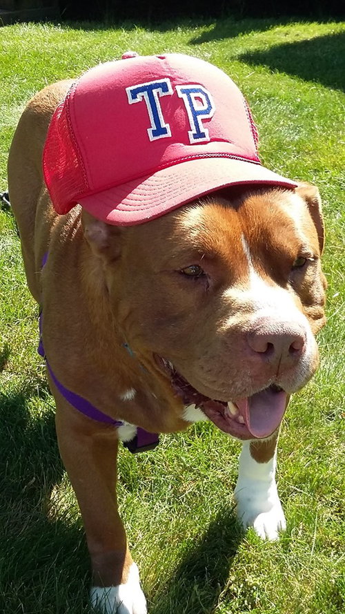 Stryker - ADOPTED 08.18.19