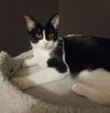 Rc Litter Taco - ADOPTED 09.05.18