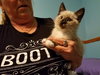 Tc Litter Matthew - ADOPTED 10.13.18