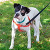 Brewster - ADOPTED 03.24.19