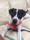 Brewster - ADOPTED 03.24.19