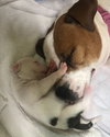 Fs Litter - Matty ADOPTED 12.05.2018