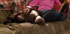 Theo - ADOPTED 04.20.19