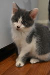 Katrina - ADOPTED 12.08.18