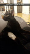 Morticia - ADOPTED 11.23.19