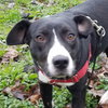 Yumiko - ADOPTED 08.30.19