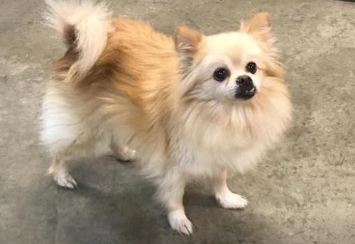 Morgan - ADOPTED 01.09.19