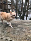 Morgan - ADOPTED 01.09.19