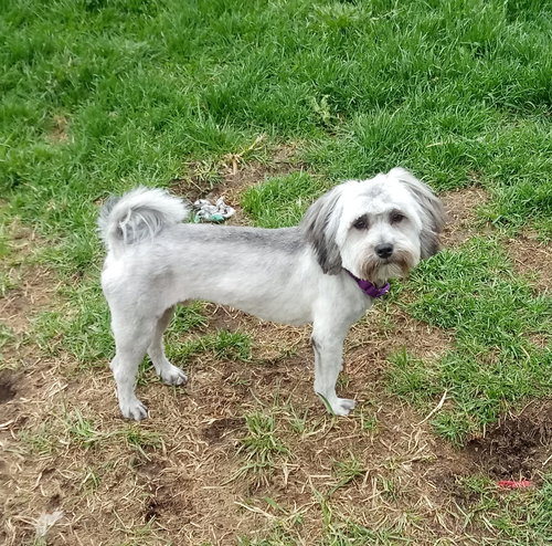 Roosevelt - ADOPTED 05.30.19