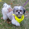 Quark - ADOPTED 02.10.19