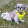 Quark - ADOPTED 02.10.19