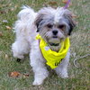 Quark - ADOPTED 02.10.19