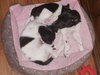 Is Litter Phoebe - ADOPTED 04.12.19